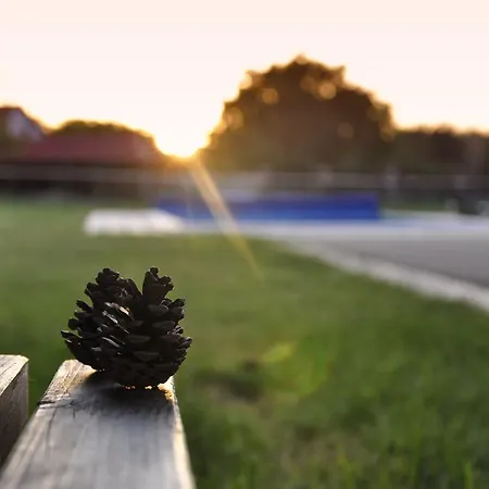 בית הארחה Ongal 3*