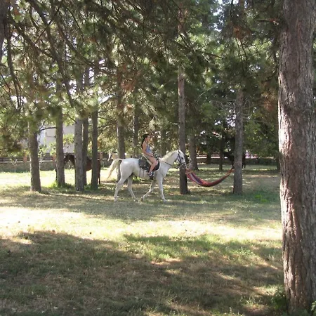 Πανσιόν Ongal 3*