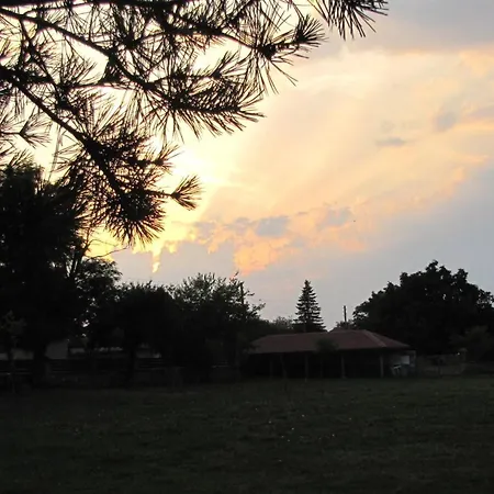 Ongal קרושונה