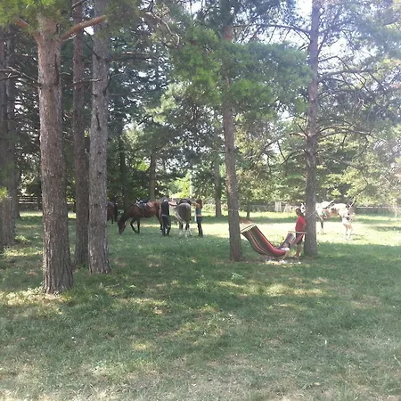 Ongal Πανσιόν 3*