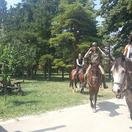 Ongal Vendégház 3*