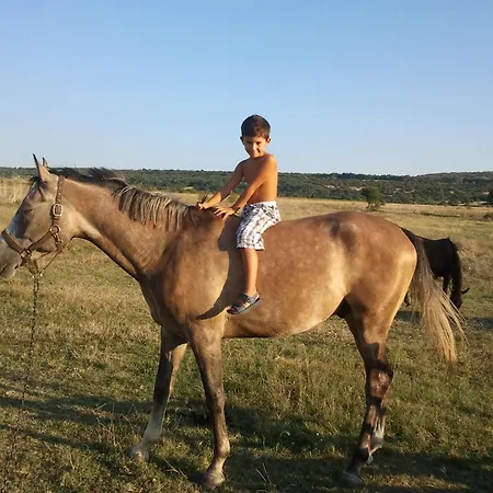 Ongal 3*